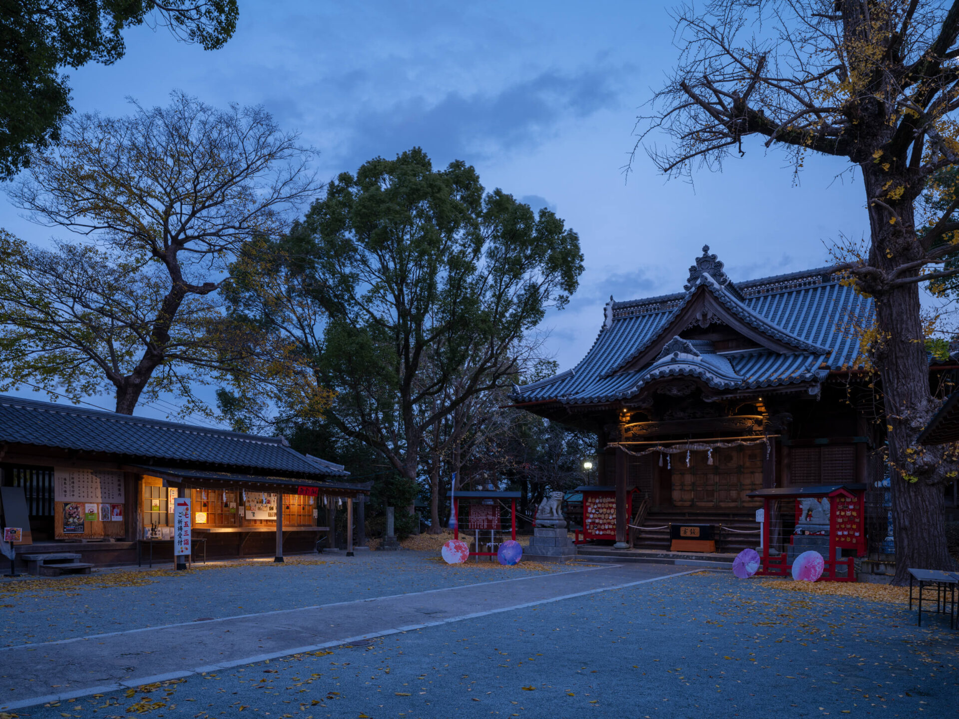 八幡宮の研究 _DSF3903 | 【公式】福島八幡宮WEBサイト